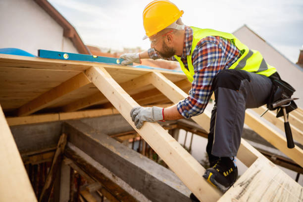 Best Roof Leak Repair  in Boyceville, WI