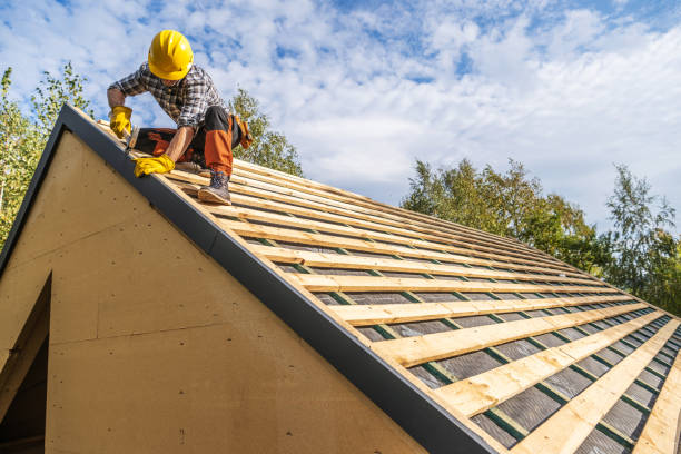 Best Roofing Contractors for Homes  in Boyceville, WI